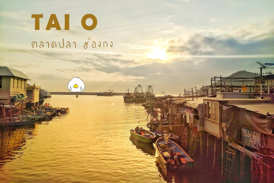 Tai O Hong Kong fishing village · หมู่บ้านชาวประมงตลาดไข่เค็มดั้งเดิม · Phoenix Lava research trip 2013